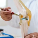 a-doctor-uses-a-knee-joint-model-to-demonstrate-anatomy-diagnose-conditions-like-osteoarthritis-1024x682